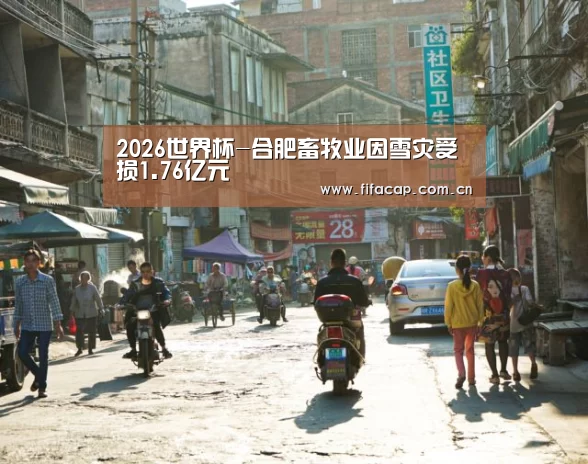 2026世界杯-合肥畜牧业因雪灾受损1.76亿元(图2) 世界杯2026