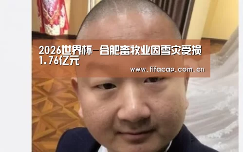 2026世界杯-合肥畜牧业因雪灾受损1.76亿元(图1) fifa word cup
