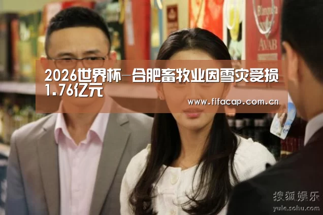 2026世界杯-合肥畜牧业因雪灾受损1.76亿元(图3) 2026世界杯
